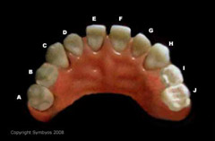 Tooth numbers