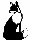 Picture 24